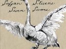 Sufjan Stevens Seven Swans Vinyl LP Record & 7
