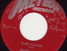 BLUES 45 RPM- SMOKEY HOGG on METEOR RECORDS