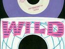 GIZZELLE - BABY PLEASE DON'T GO R&B Popcorn 45 HEAR