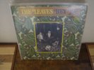 THE LEAVES - hey joe