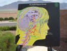 KEITH TIPPETT Dediticated to You Vertigo rare