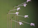 Modest Mouse Good News For People 2xLP 2004 SEALED