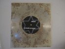 Birchville Cat Motel / rhBand  8