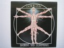 Leeway 12