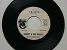 SHERRY & THE INVERTS LOST/MADE TO LOVE SOUL 45 PROMO