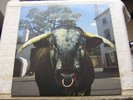 Swervedriver-