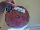 Rise Against Join The Ranks 7
