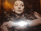 Kate Bush Hounds Of Love Record Store Day 10' Vinyl