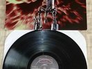 Beck Mellow Gold Lp