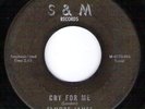 ELMORE JAMES Cry For Me Take Me R&B BLUES 45 S&M