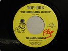 CAMEL DRIVERS garage r&r 45 GRASS IS ALWAYS GREENER  TD