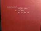 SEEFEEL 