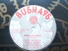 Moon Rocks UNITE JAH PEOPLE Rare Killer Roots12 Clip