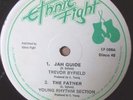 TREVOR BYFIELD - Jah Guide - Ethnic Fight rare 12