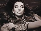 KATE BUSH 