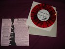 Blood Red Shoes - Victory For The Magpie RARE FIRST 7
