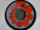 TEFTELLER NORTHERN Pat Lewis Warning Solid Hit 105 M-