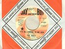 The Hogs It's All Coming To Me Now / Motorcycle 45 RPM
