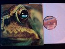 Toad - Same rare CH Progressiv LP