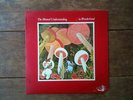 MUTUAL UNDERSTANDING LP IN WONDERLAND OG BEAUTIFUL COPY
