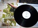 Lifelover - Pulver LP