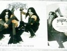 IMMORTAL - Battles In The North  LP  CLEAR VINYL  1995