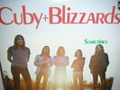 LP CUBY AND THE BLIZZARDS SOMETIMES