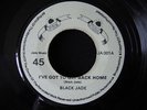 Black Jade-I've got to get back home Killer Roots RARE?