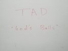 TAD 1st LP SUB POP Test Pressing MINT Bruce Pavitt UGH