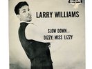 LARRY WILLIAMS RARE SLOW DOWN SPECIALTY PICTURE SLEEVE