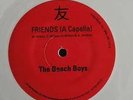 Beach Boys Al Jardine Record Store Don't Fight the Sea