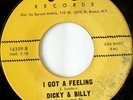 rare Soul 45 DICKY & BILLY i got a feeling J&S Hear
