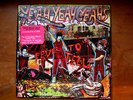 The Yeah Yeah Yeahs Fever To Tell PICTURE LP Vinyl RAR