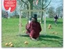 Syd Barrett Intro  Record Store Day LP release