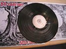 SKINHEAD, RAC,OI,PUNK,SKREWDRIVER LP,