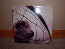 PEARL JAM---VS---LP/RECORD