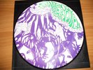 PINK FLOYD A NITE AT POMPEII PICTURE DISK LIMITED RARE