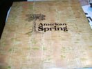 American Spring, vinyl LP, Brian Wilson/Beach Boys