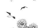 Seagulls and Sunflowers LP Album