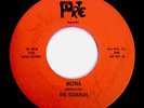 GARAGE PUNK 45 THE IGUANAS MONA IGGY POP 1ST RARE MOD