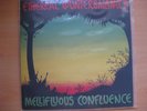 Ethereal Counterbalance II - Mellifluous Confluence LP