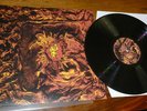 DEUS worst case scenario LP vinyl tom barman zita swoon