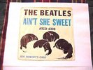 BEATLES AIN'T SHE SWEET (PICTURE SLEEVE) ATCO  6308  NR