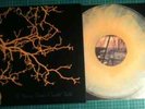 If These Trees Could Talk - S/T Caspian Jesu /150 RARE