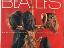  25 cm BEATLES 