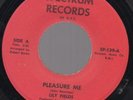 Lily Fields Pleasure Me Rare Psych Funk 45 Spectrum MP3