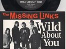 THE MISSING LINKS  