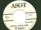 RARE PROMO 45 UNIVERSALS Dear Ruth Ascot 2124 Nearmint