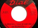 * MAGNIFICENT 7 Never Will I RARE NORTHERN SOUL 45 ?