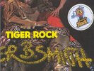 TIGER B. SMITH Tiger Rock LP KRAUTROCK OG VERTIGO SWIRL